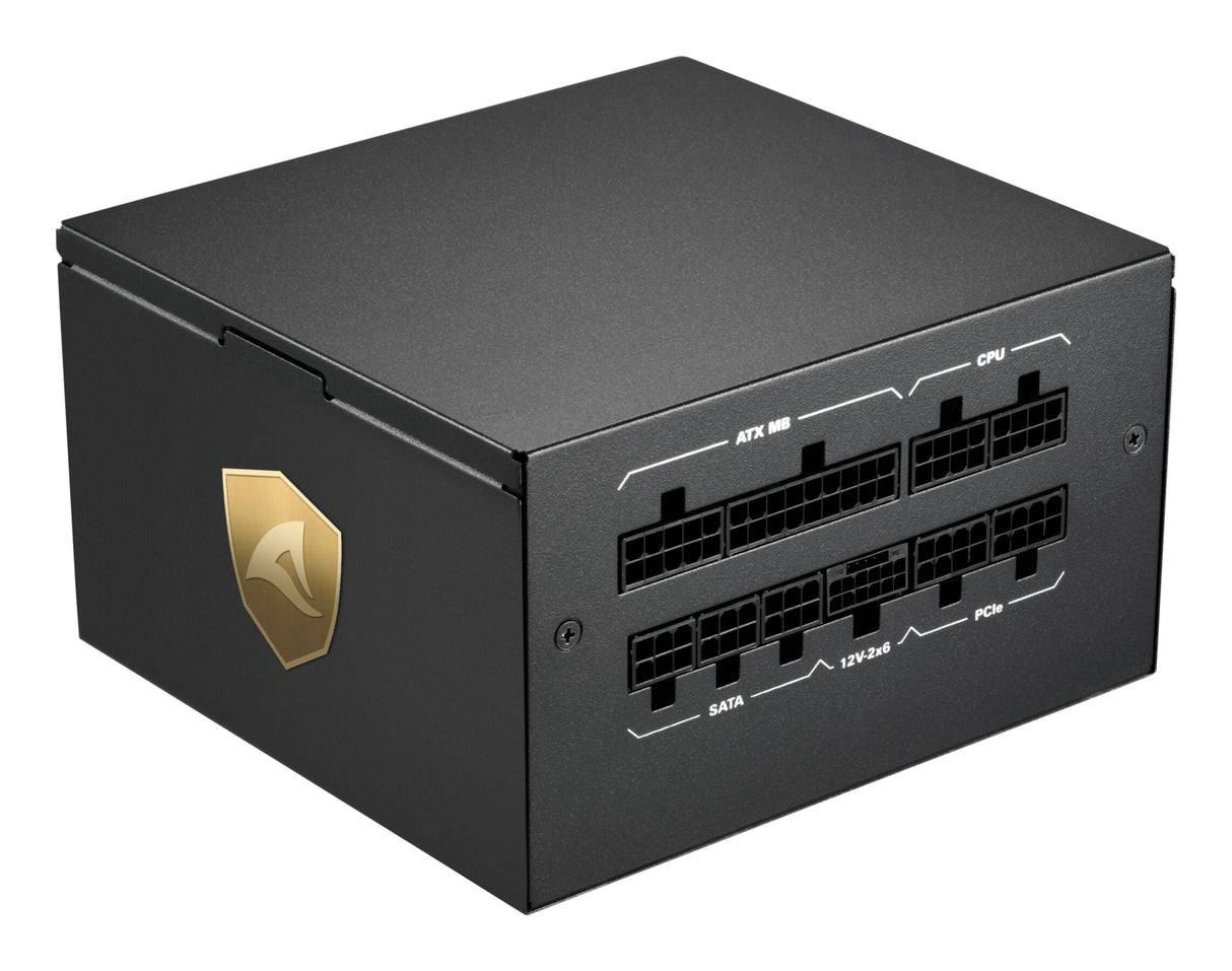 PC- Netzteil Sharkoon Rebel P20 1000W Cybenetics Platinum