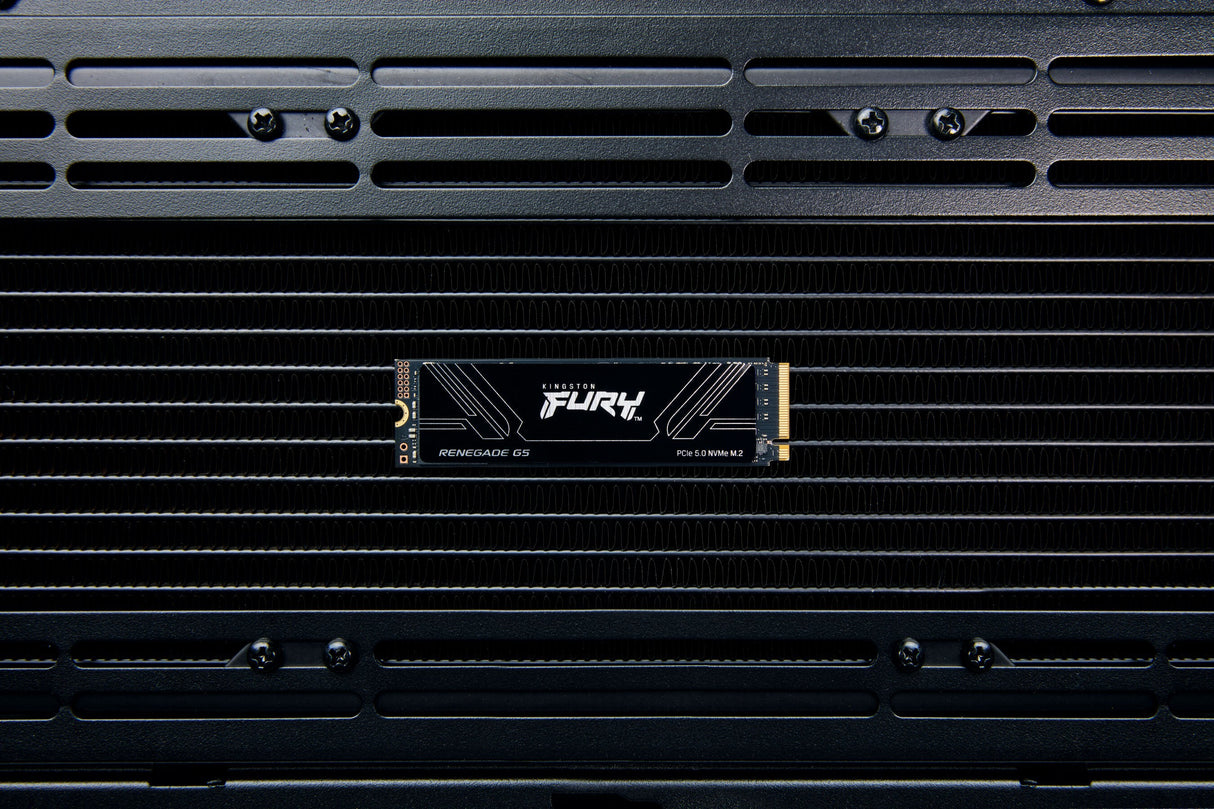 SSD Kingston FURY Renegade G5 4TB Kingston SFYR2S/4T0 M.2 PCIe 5.0 NVMe