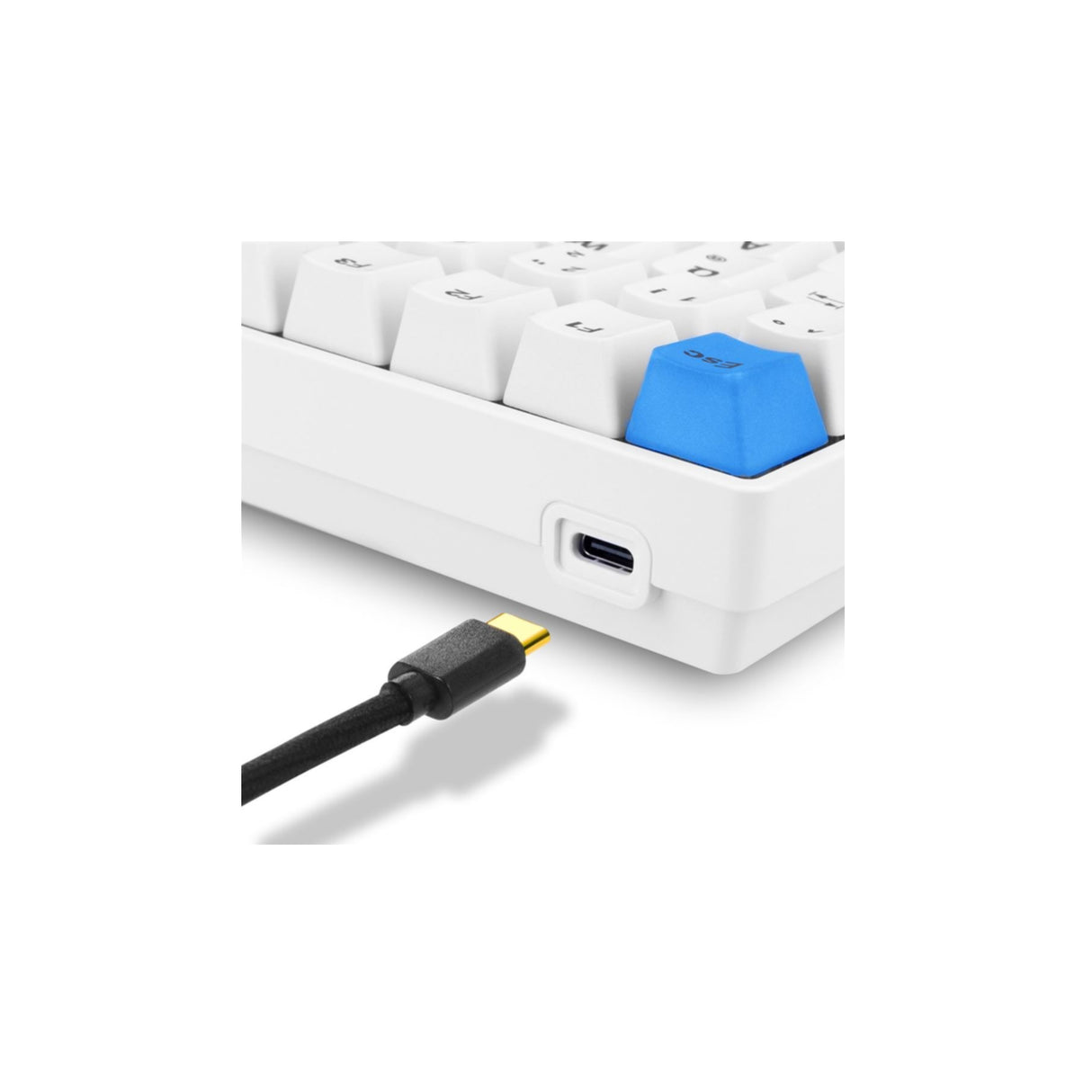 Keyboard Sharkoon Skiller SGK50 S3 PBT White