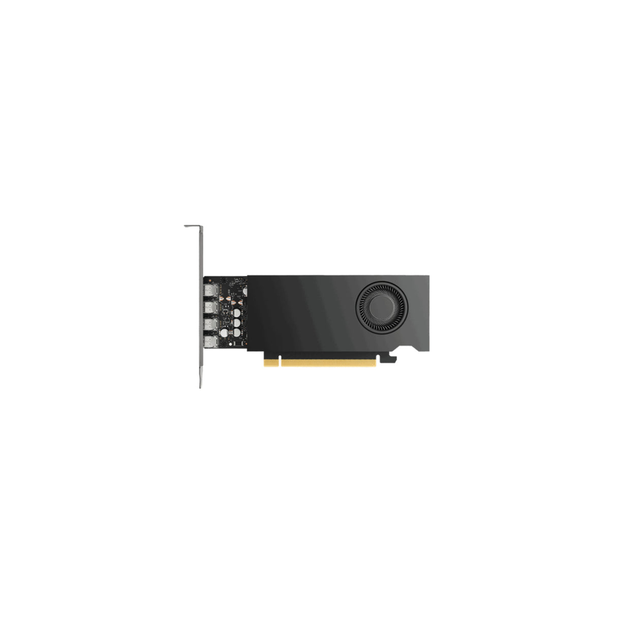 VGA PNY Quadro RTX 2000E ADA 16GB Smallbox (VCNRTX2000EADA-SB)