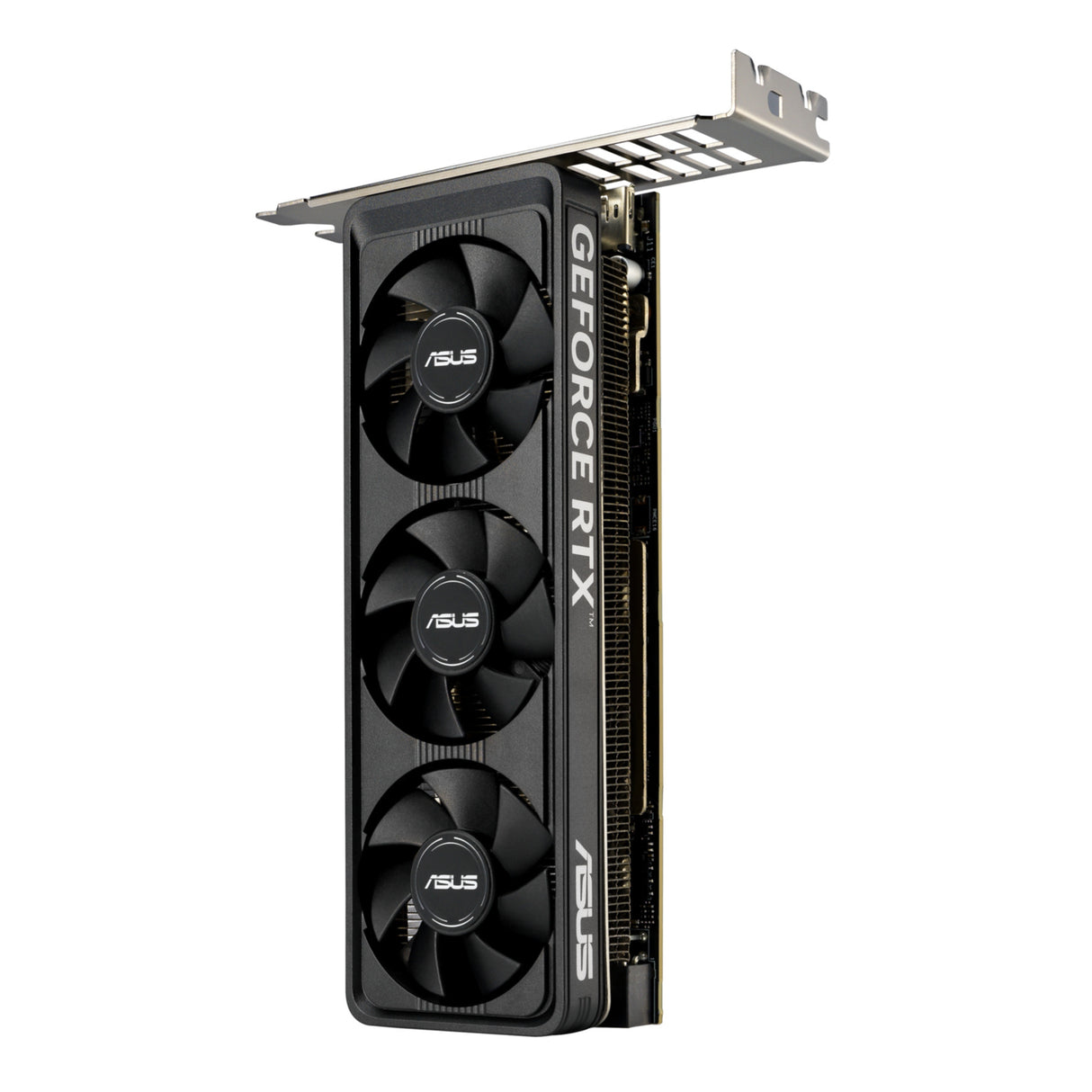 VGA Asus GeForce® RTX 5060 8GB LP BRK OC