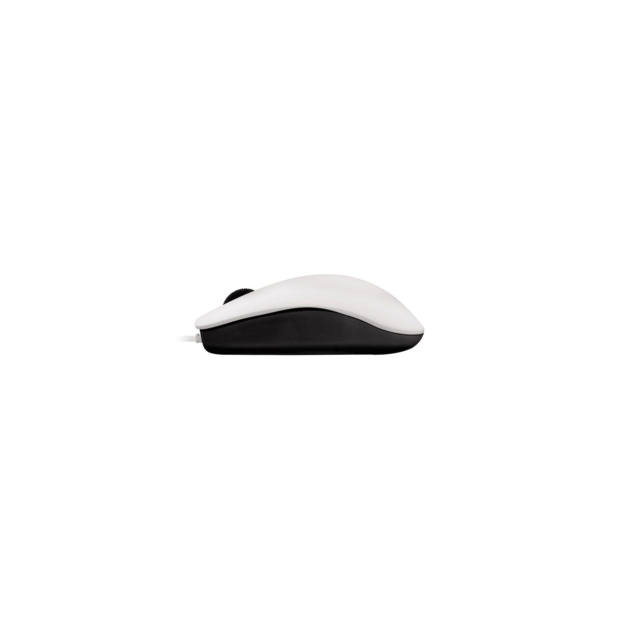 Mouse Cherry MC1000 white-gray (JM-0800-0)