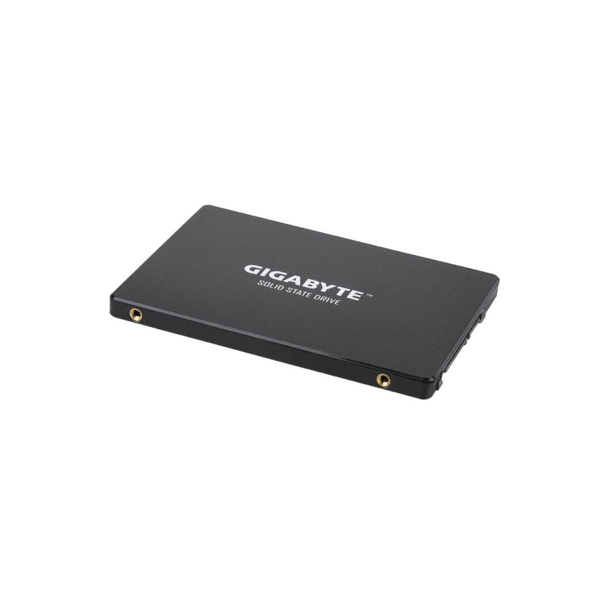 SSD GIGABYTE 1TB Sata3 GP-GSTFS31100TNTD 2,5" [49711_4UOqGuhvwnbovh_1280x1280..jpg]