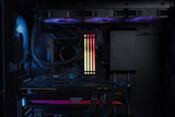DDR5 16GB KIT 2x8GB PC 5600 Kingston FURY Beast RGB KF556C40BBAK2-16 - ComputerKönig