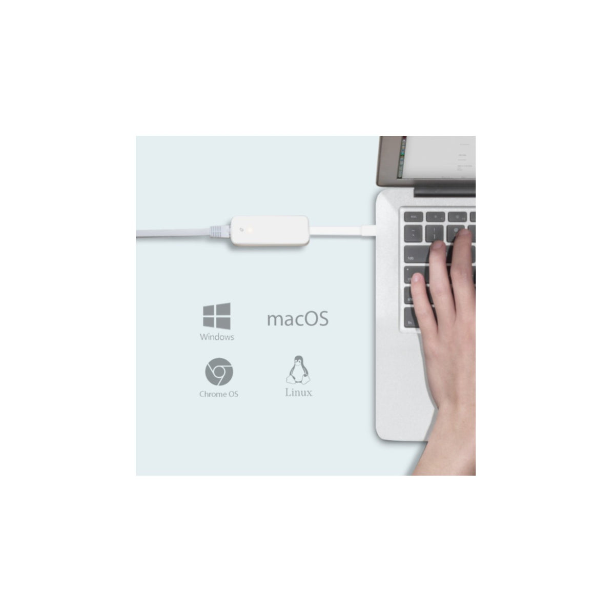 TP-Link Netzwerkadapter UE300C USB-C [73300_6_1280x1280..jpg]