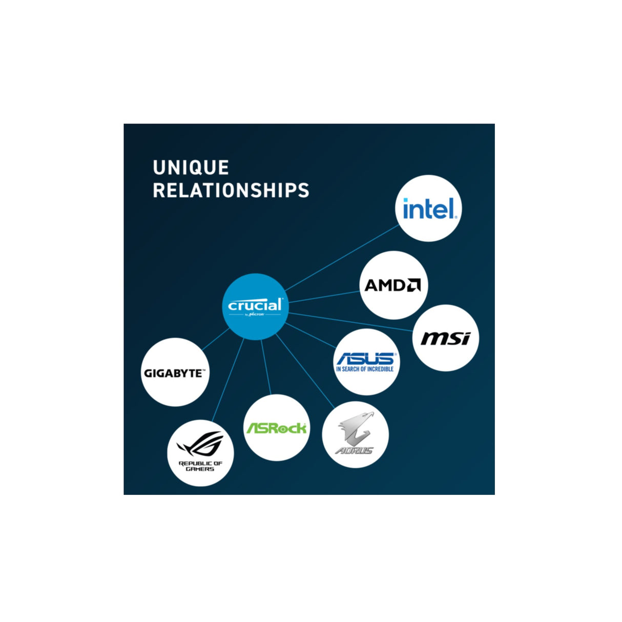 S/O 16GB DDR5 PC 5600 Crucial CT16G56C46S5