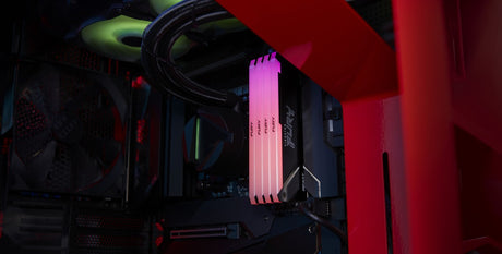 DDR4 32GB PC 3200 Kingston FURY Beast RGB KF432C16BB2A/32 [80464_5_1280x1280..jpg]