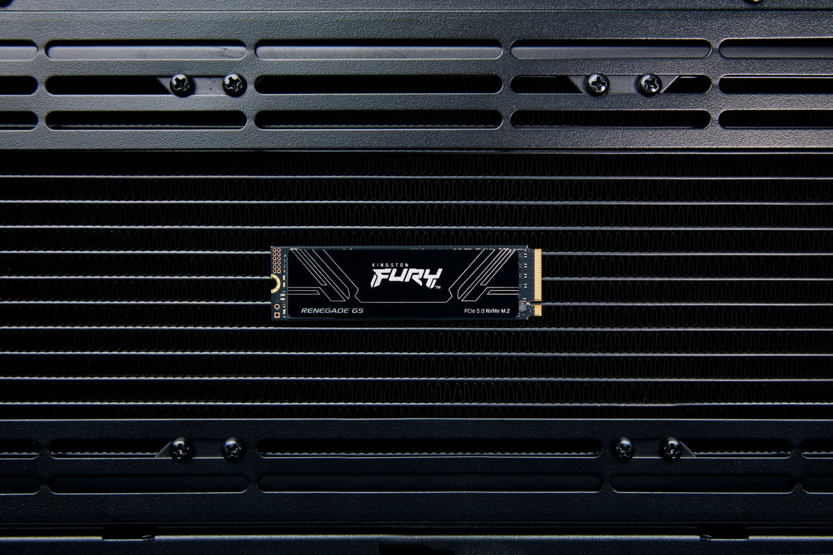 SSD Kingston FURY Renegade G5 2TB Kingston SFYR2S/2T0 M.2 PCIe 5.0 NVMe
