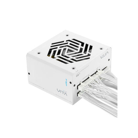 FSP VITA GM 850W white PPA8504214 [93470_2_1280x1280..jpg]