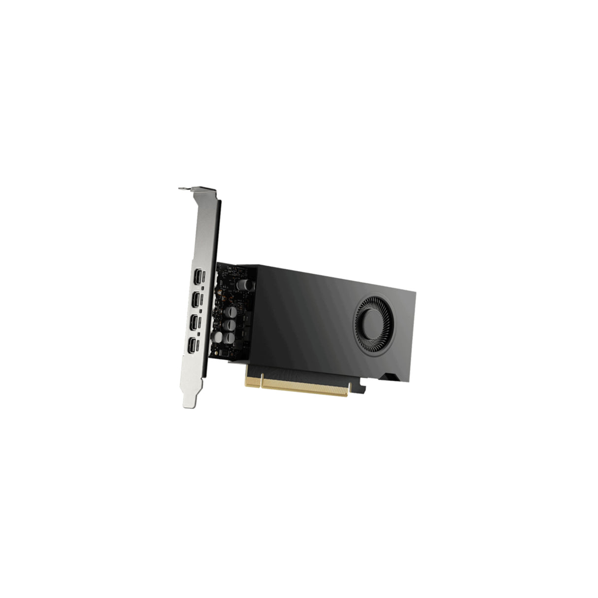 VGA PNY Quadro RTX 2000E ADA 16GB Smallbox (VCNRTX2000EADA-SB)