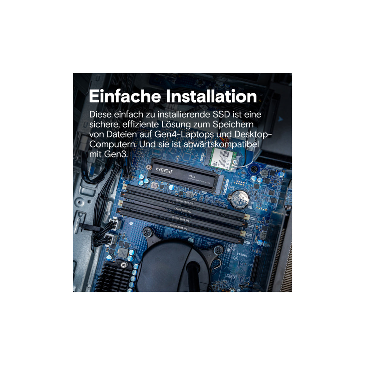 SSD Crucial 1TB P310 CT1000P310SSD5 PCIe M.2 NVME PCIe 4.0 x4 mit HS