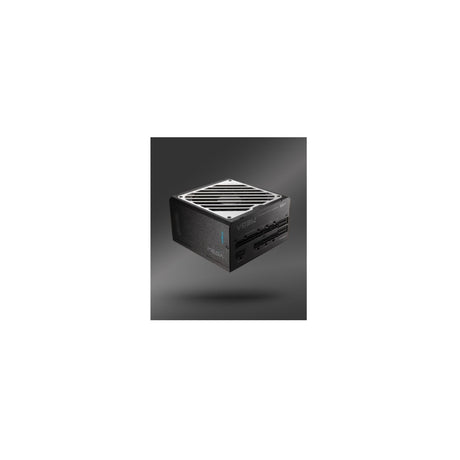 FSP MEGA -1000GM 1000W black PPA10A4501 [99169_1_1280x1280..jpg]